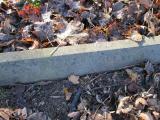 image of grave number 352126